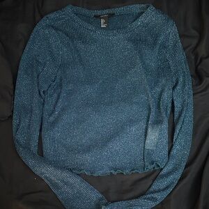 Sheer Shimmering Blue Long Sleeve Top